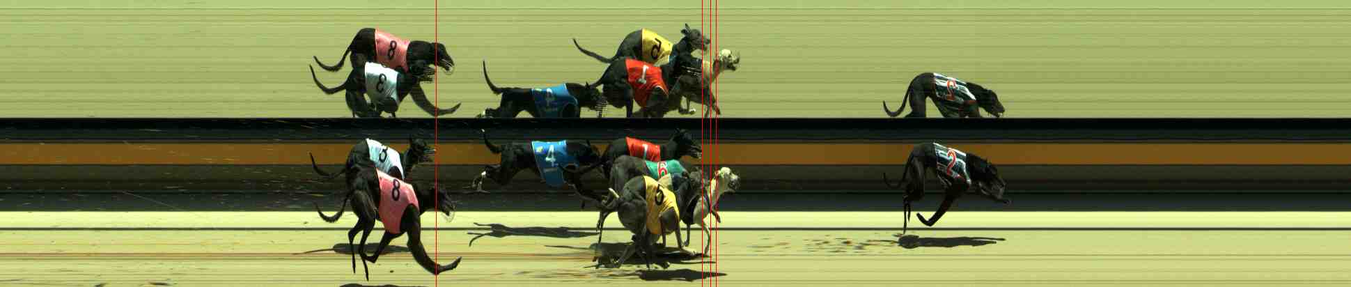 Photo finish for Sale Race 5