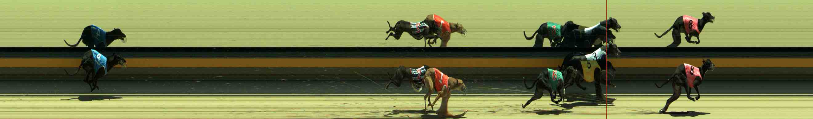 Photo finish for Sale Race 6