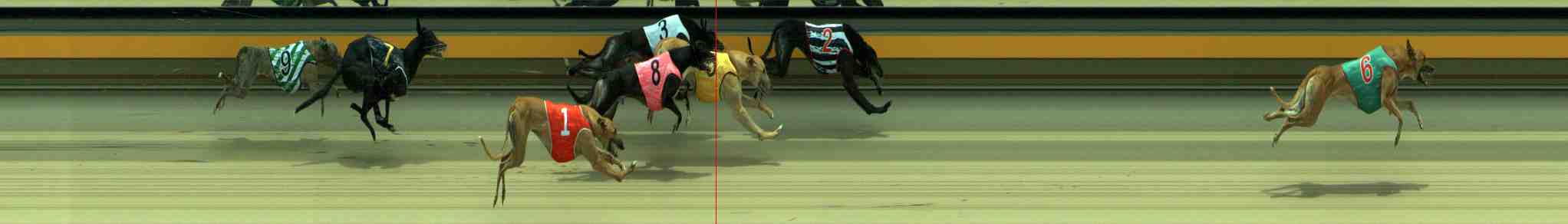 Photo finish for Sale Race 7