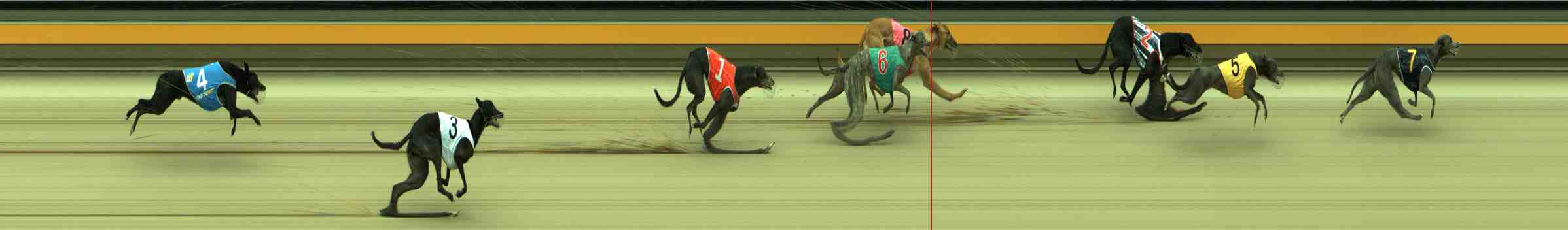 Photo finish for Sale Race 10