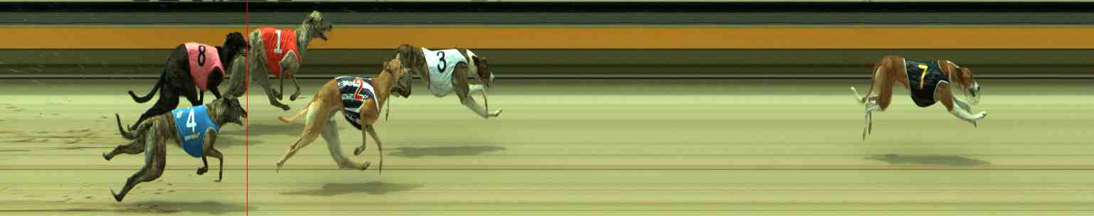 Photo finish for Sale Race 11