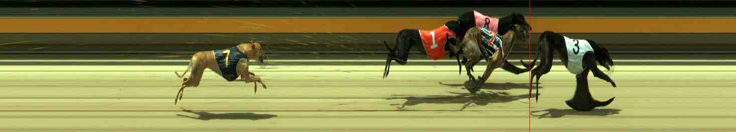 Photo finish for Sale Race 12