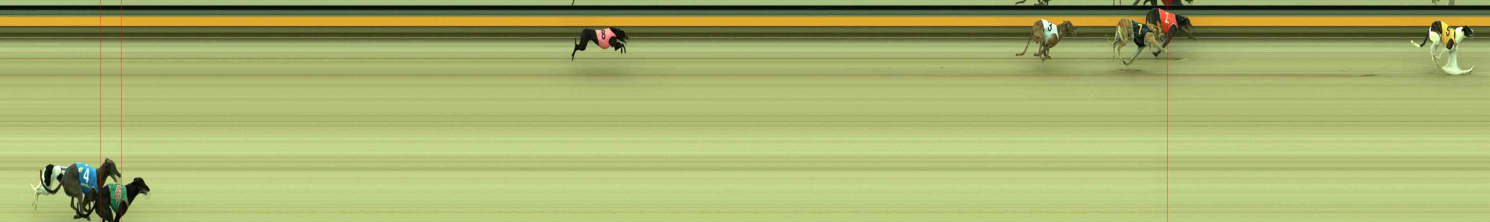 Photo finish for Sale Race 1