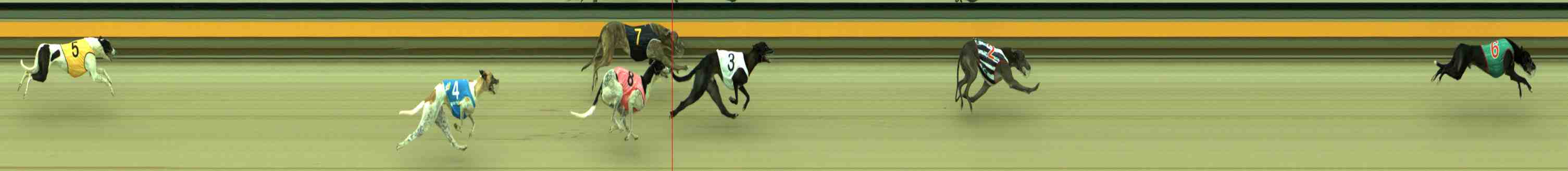 Photo finish for Sale Race 2