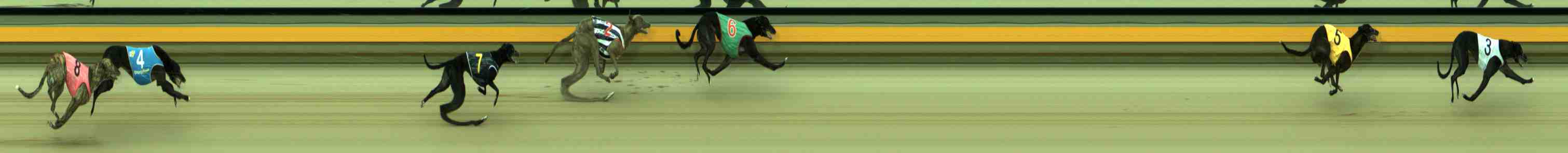 Photo finish for Sale Race 3