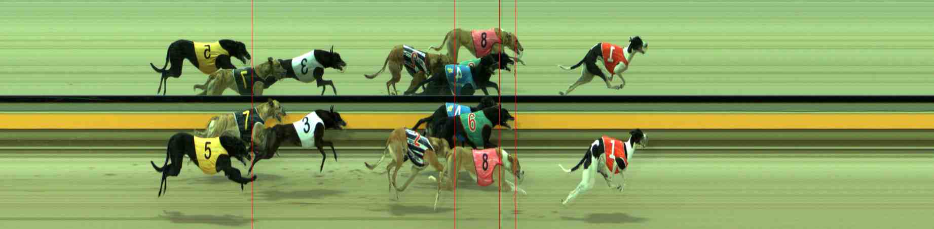 Photo finish for Sale Race 4