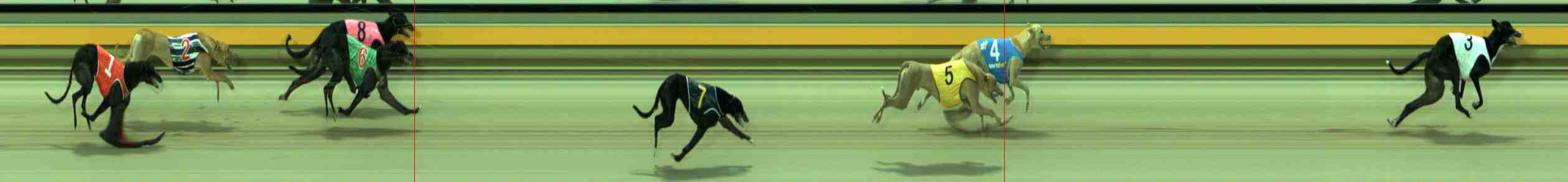 Photo finish for Sale Race 5