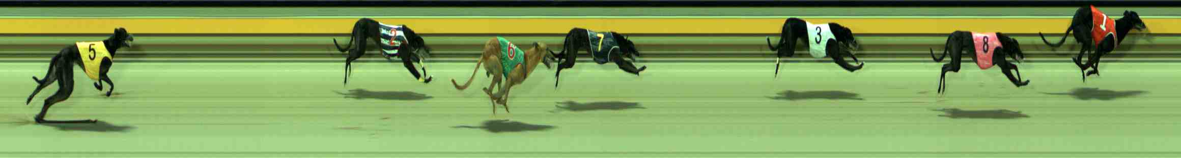 Photo finish for Sale Race 6