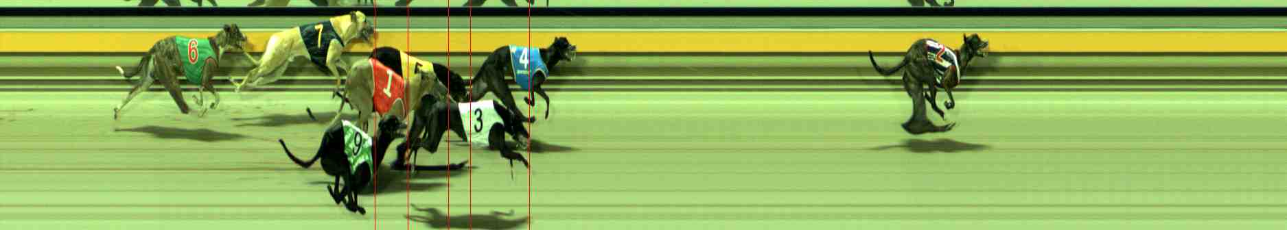 Photo finish for Sale Race 7