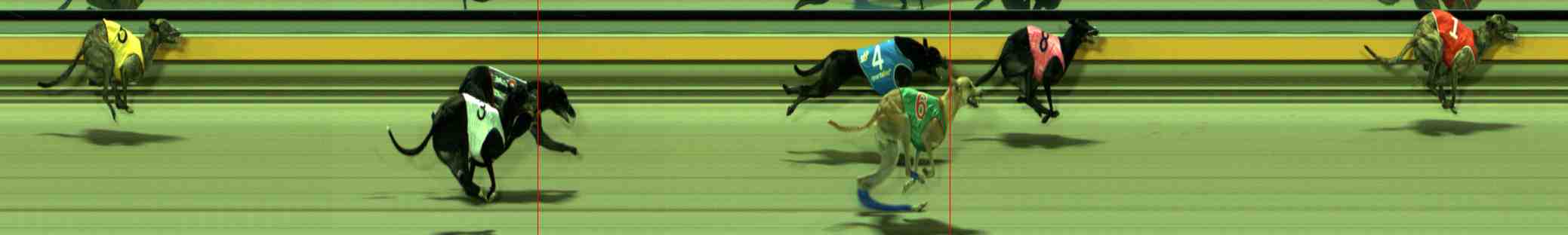 Photo finish for Sale Race 9