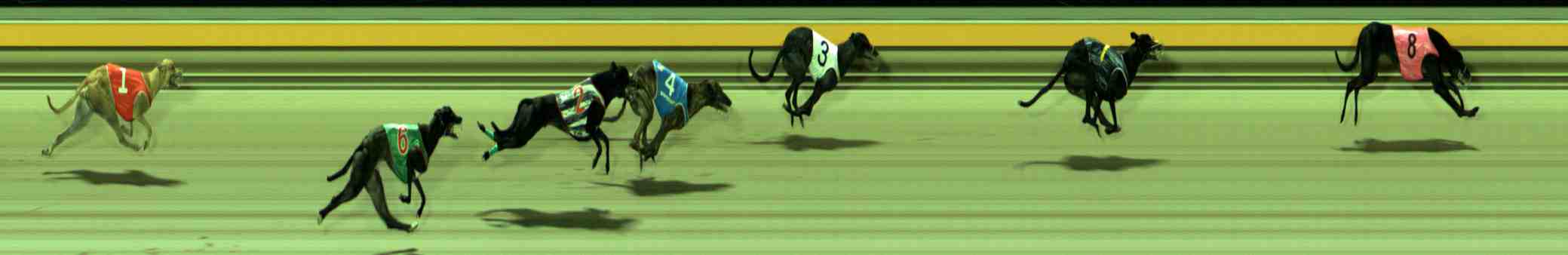 Photo finish for Sale Race 10