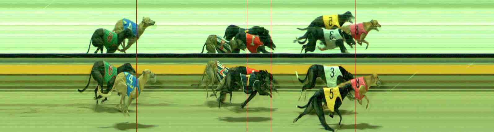 Photo finish for Sale Race 11