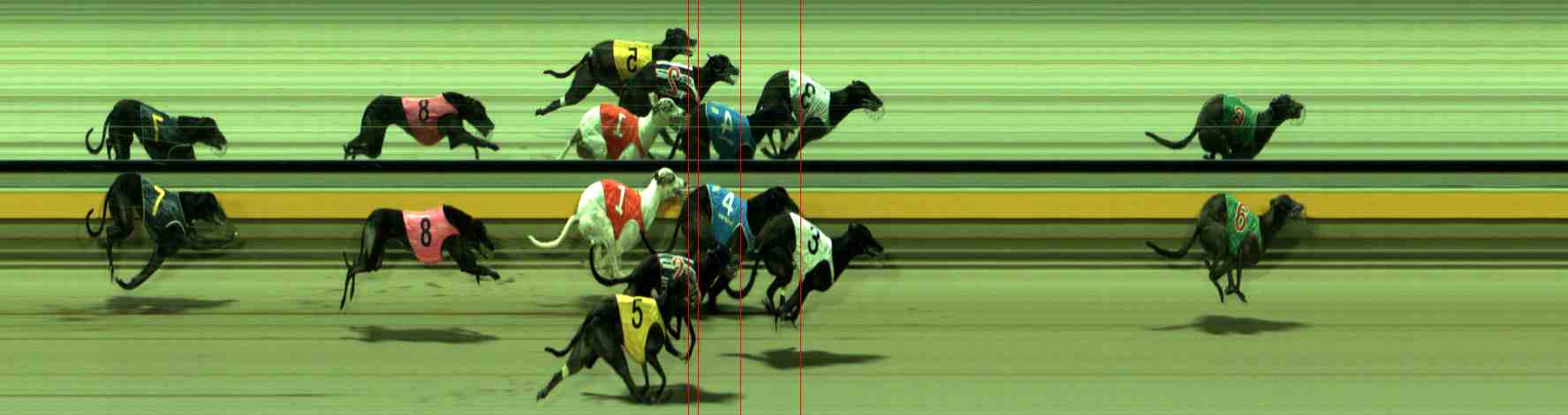 Photo finish for Sale Race 12