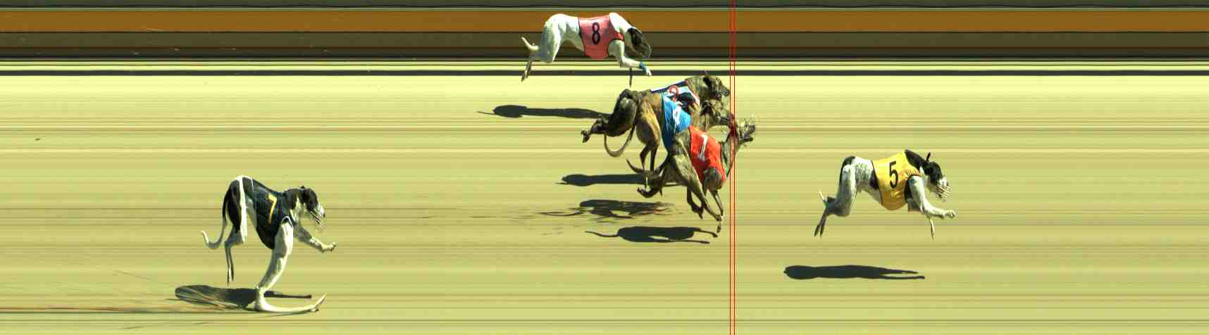 Photo finish for Sale Race 1