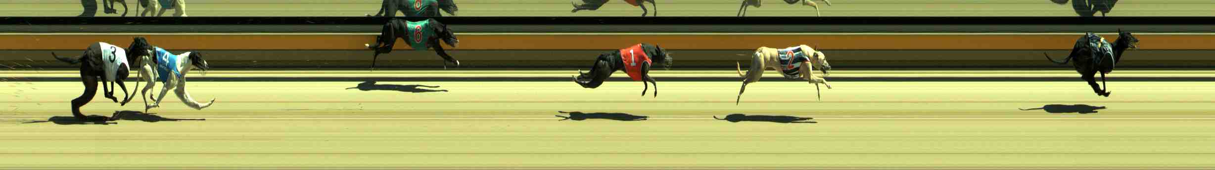 Photo finish for Sale Race 3