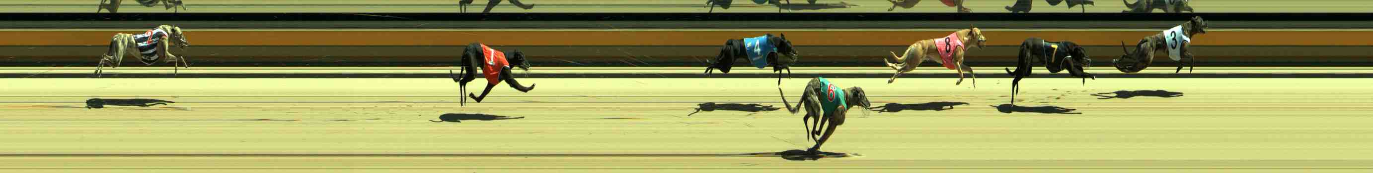 Photo finish for Sale Race 4