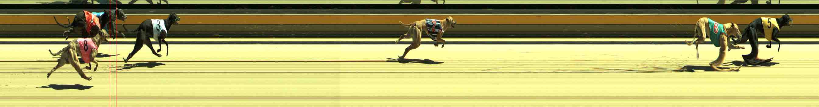 Photo finish for Sale Race 5