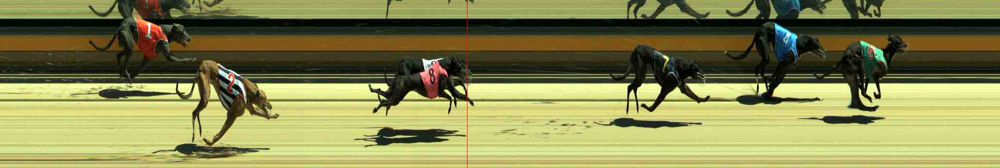 Photo finish for Sale Race 6