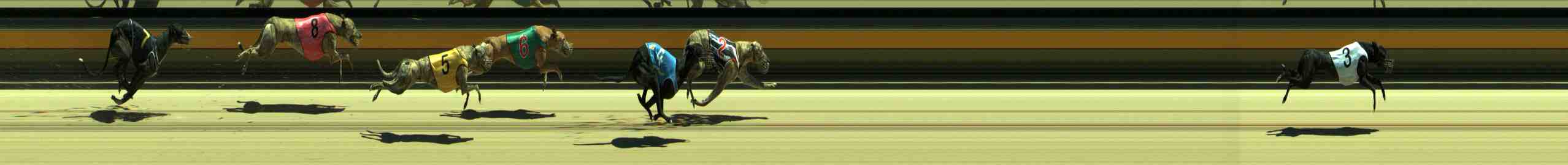Photo finish for Sale Race 7