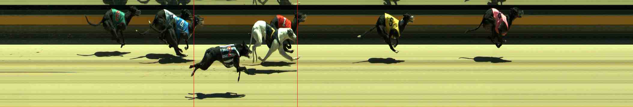 Photo finish for Sale Race 8