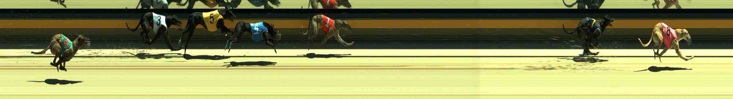 Photo finish for Sale Race 10