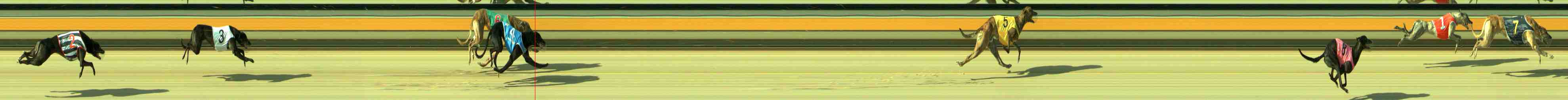 Photo finish for Sale Race 2