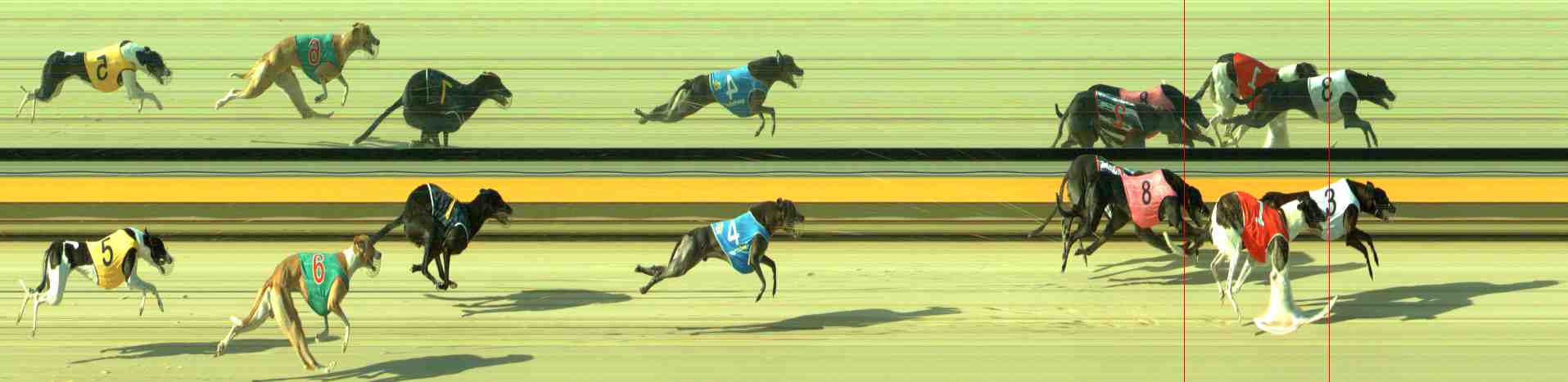 Photo finish for Sale Race 3