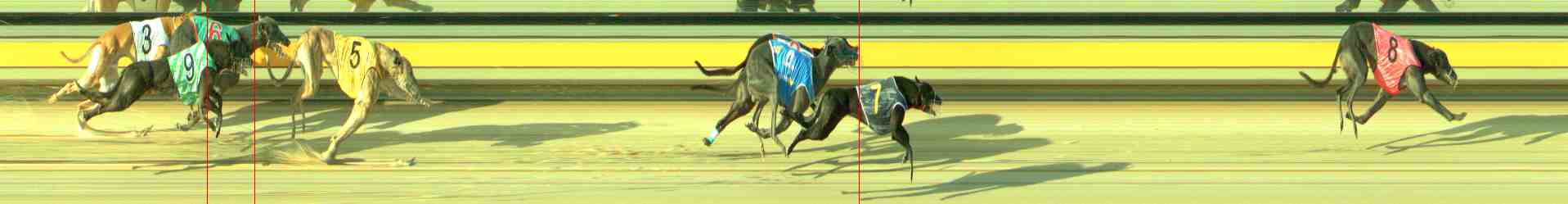 Photo finish for Sale Race 4