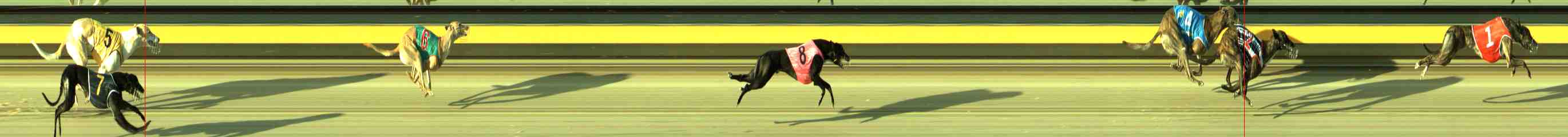 Photo finish for Sale Race 5