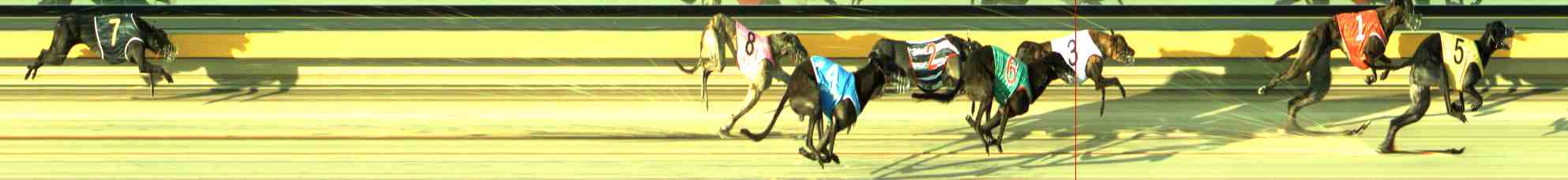 Photo finish for Sale Race 6