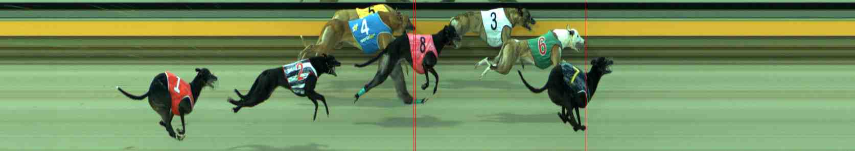 Photo finish for Sale Race 7
