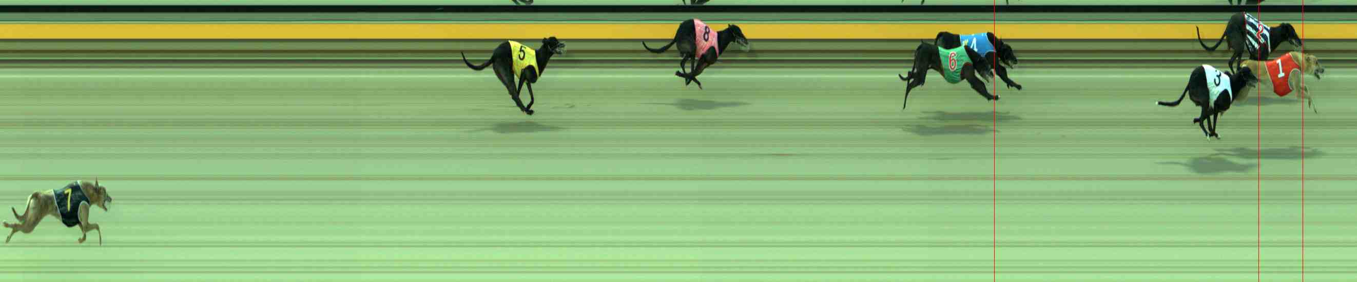 Photo finish for Sale Race 8