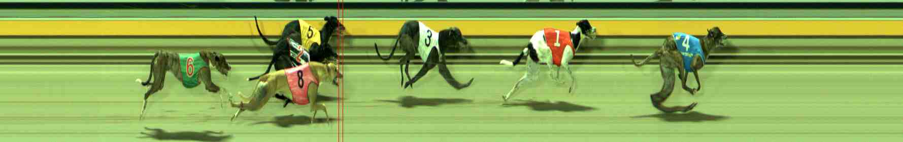 Photo finish for Sale Race 10
