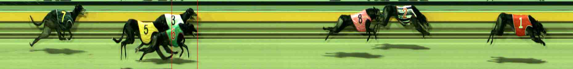 Photo finish for Sale Race 11