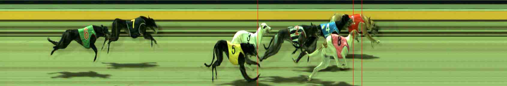 Photo finish for Sale Race 12