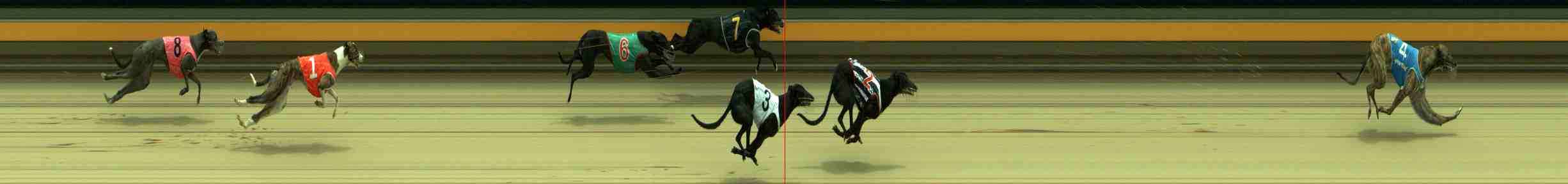 Photo finish for Sale Race 4