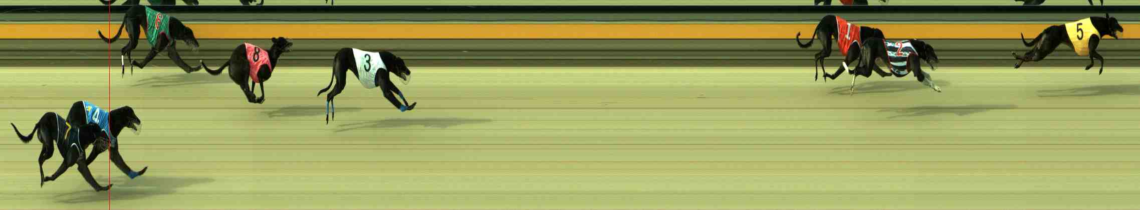 Race result finish photo