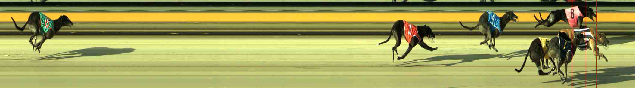 Race result finish photo