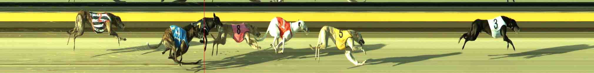 Race result finish photo