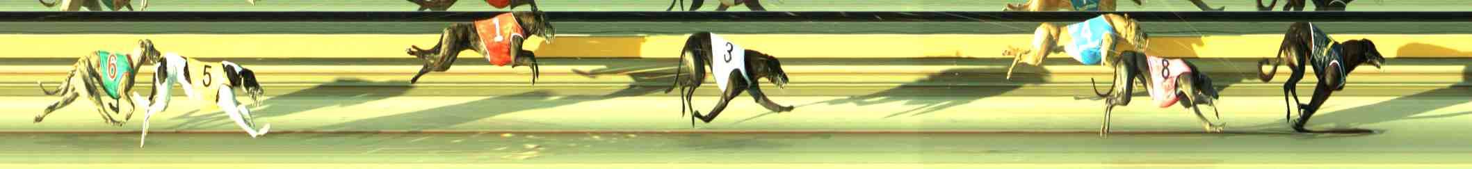 Race result finish photo