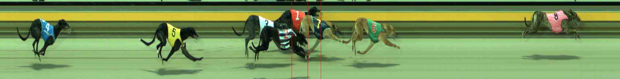 Race result finish photo