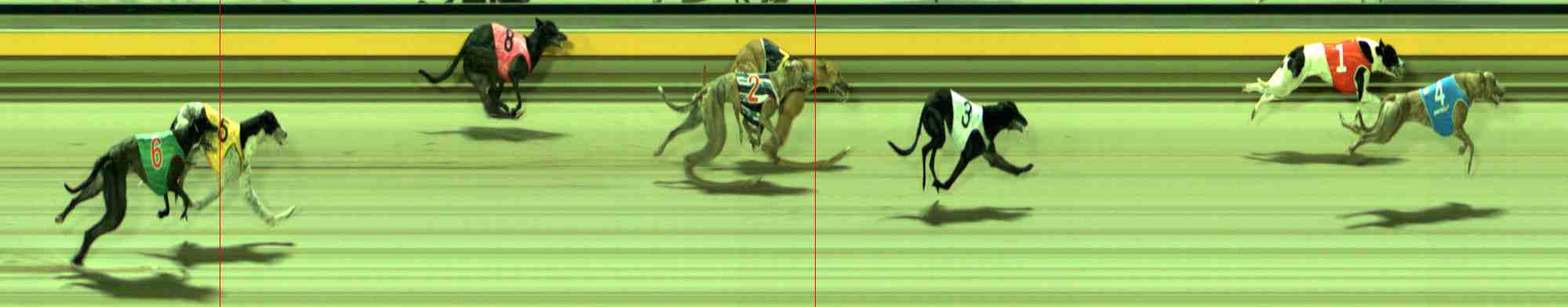 Race result finish photo