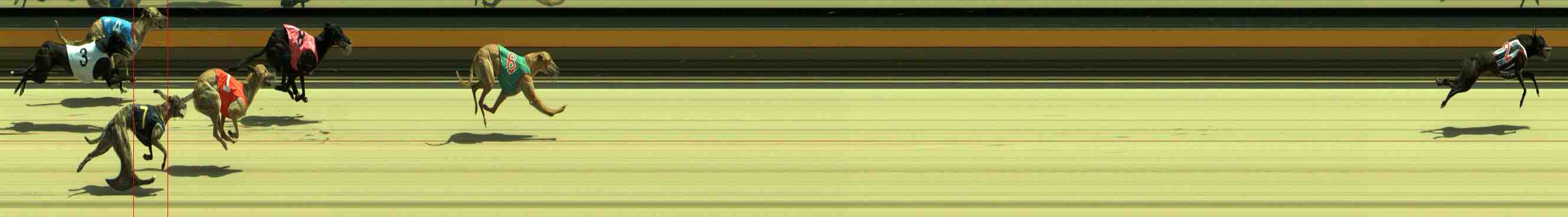 Race result finish photo