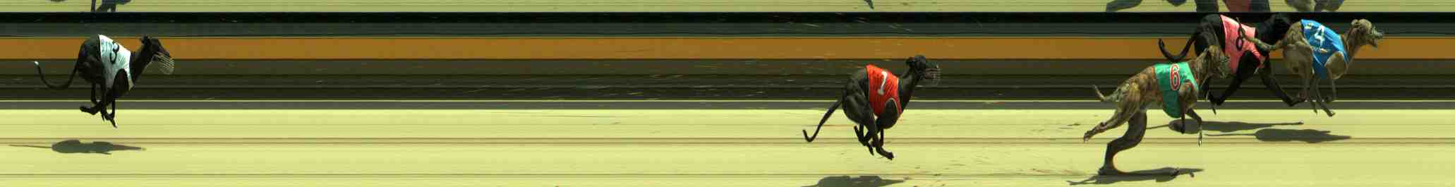 Photo finish for Sale Race 2