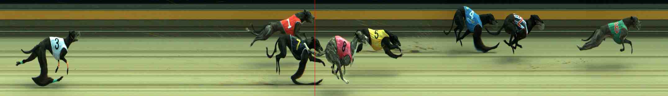 Photo finish for Sale Race 3