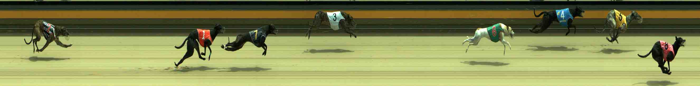 Photo finish for Sale Race 4