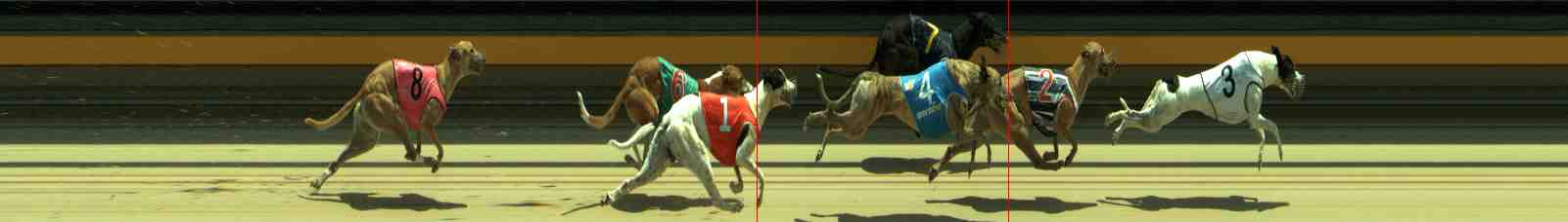 Photo finish for Sale Race 5