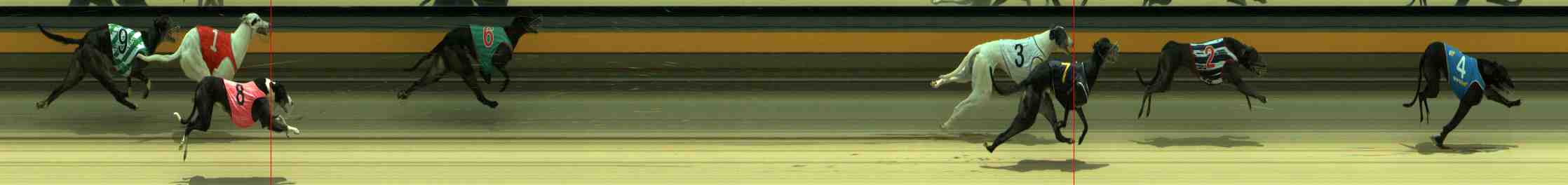 Photo finish for Sale Race 6