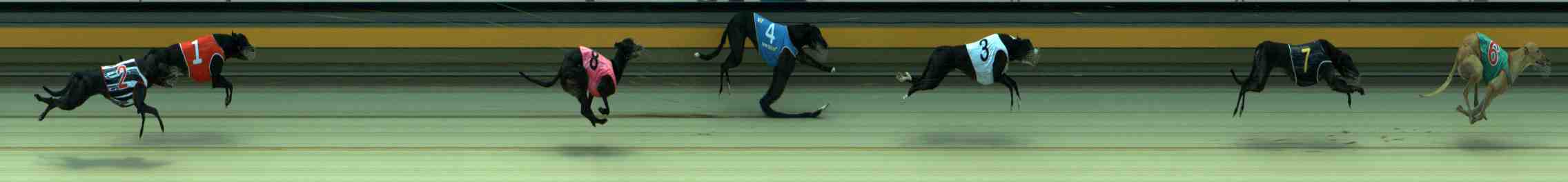 Photo finish for Sale Race 7