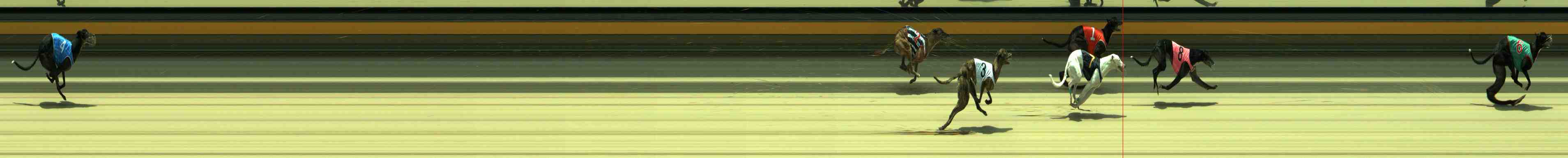 Photo finish for Sale Race 8